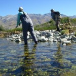 TroutAholics in New Zealand - Fishing Outfitters from Montana TroutAholics in New Zealand - Fishing Outfitters from Montana